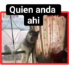 Quien anda
ahi