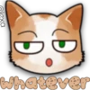 Face Cat 20