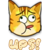 Face Cat 21