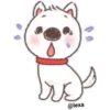 Puppy life 13