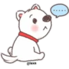 Puppy life 14