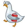 Pidgeons 23