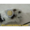 mucha risa pt 4 14