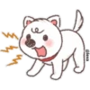 Puppy life 15