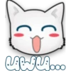 Face Cat 22