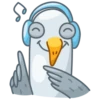 Pidgeons 24