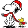 Natal eu 25