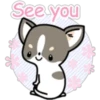 Kawaii Chihuahua I (Classic) 22