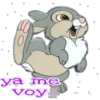 Disney bunny By 25