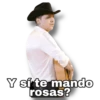 Y sí te mando
rosas?
OSoychoogamila