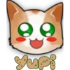 Face Cat 23