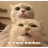 mucha risa pt 4 18