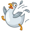 Pidgeons 15