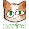 Face Cat 24