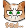 Face Cat 25