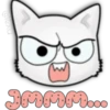 Face Cat 26
