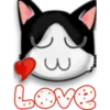 Face Cat 27