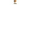 Pizza Steve