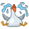Pidgeons 10
