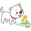 Puppy life 27