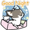 Kawaii Chihuahua I (Classic) 28
