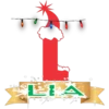 Nombres Navideños Pedidos 1 15