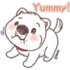 Puppy life 29