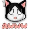 Face Cat 28