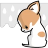 Kawaii Chihuahua I (Classic) 30