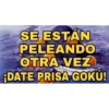 SE ESTÁN PELEANDO OTRA VEZ ¡DATE PRISA GOKÚ!