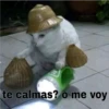 te calmas? o me voy