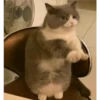 *