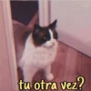 tu otra vez?