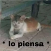 *
lo piensa
*