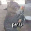 panas