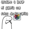 ayudame a lenaR
Mi galerta CON
Fotos dertu carita