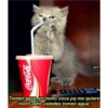 Coca-Cola.
Gesal Oy
Tomen agua, yo tomo coca pq me quiero
morir pero ustedes tomen agua.