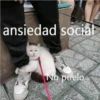 ansiedad social
No puelo