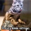 Precio y dónde entregas