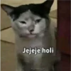 Jejeje holi