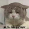 ya no, para porfavor