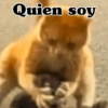 Quien soy ル