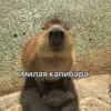 Больше стикеров: 8