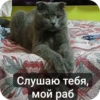 Слушаю тебя, мой раб