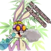 Bunny | via sticked.app 9