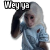 Changuitos Stickers🐒🍌 9