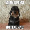 ЛYчьше стикеры - 12