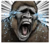 Gorilla Gorilla 9