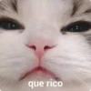 MICHIS 5