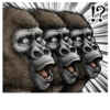 Gorilla Gorilla 13